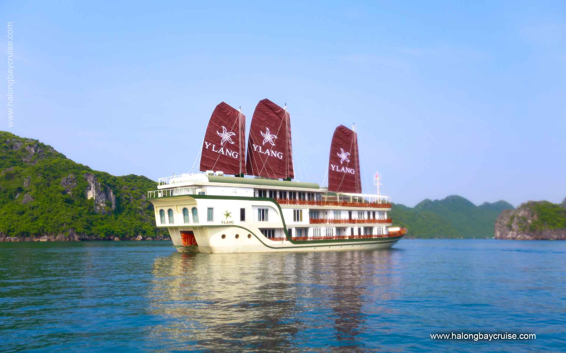 Ylang Cruise