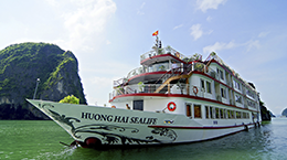 Sealife Cruise 1