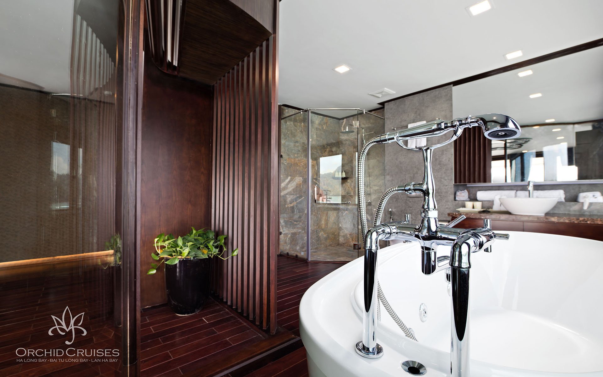 Premium Suite