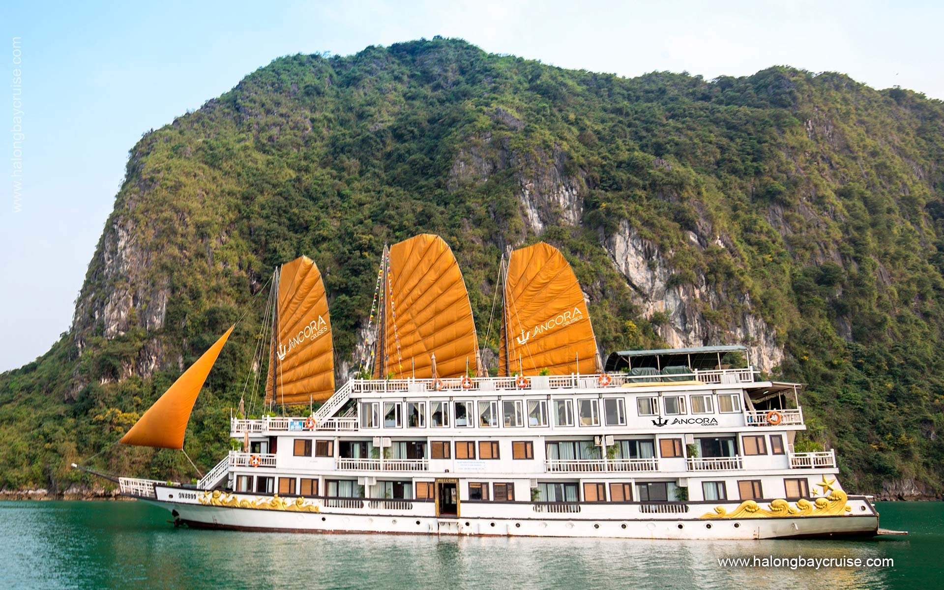 Ancora Cruise