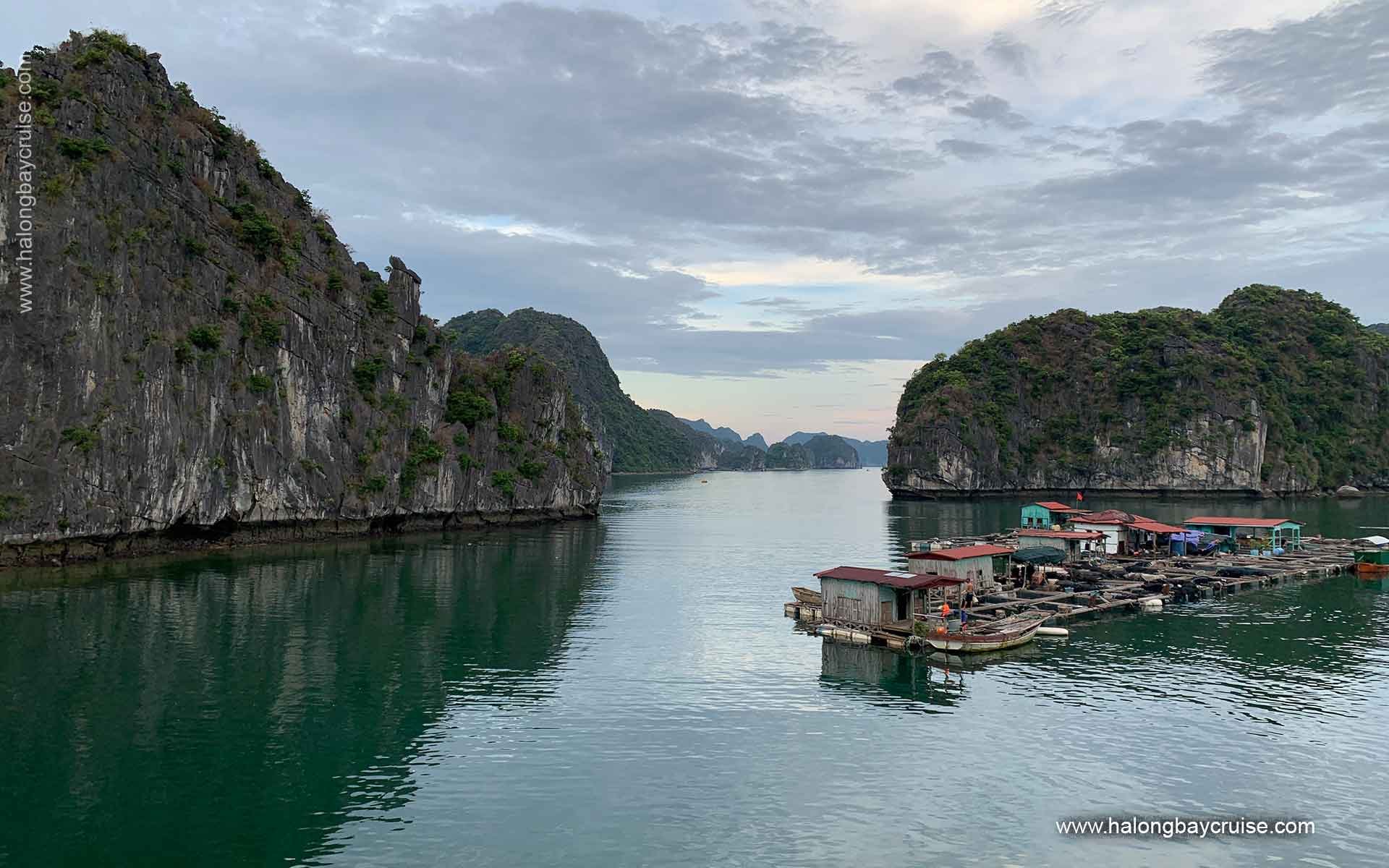 Heritage Line Ylang Cruise