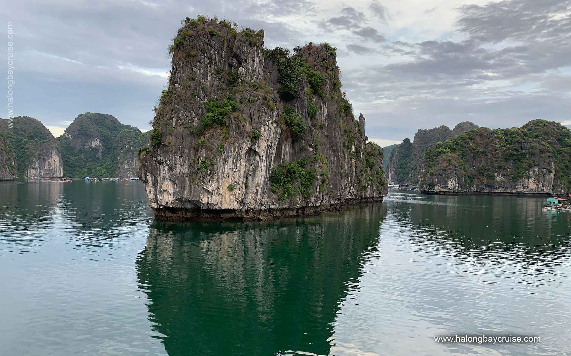 Heritage Line Ylang Cruise