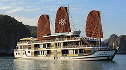 Orchid cruise-1