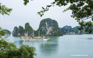 Dragon Legend Cruise
