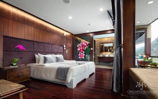 Premium Suite